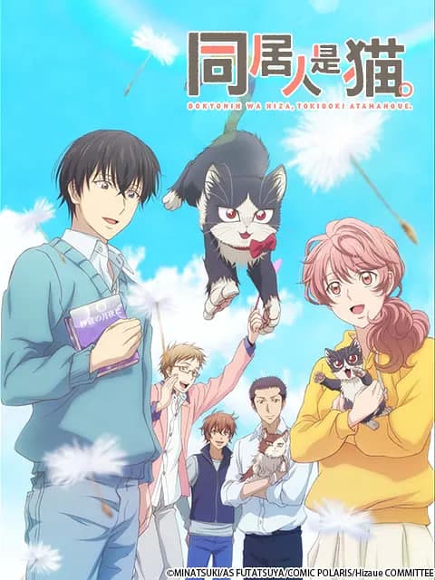 同居人是猫 同居人海报