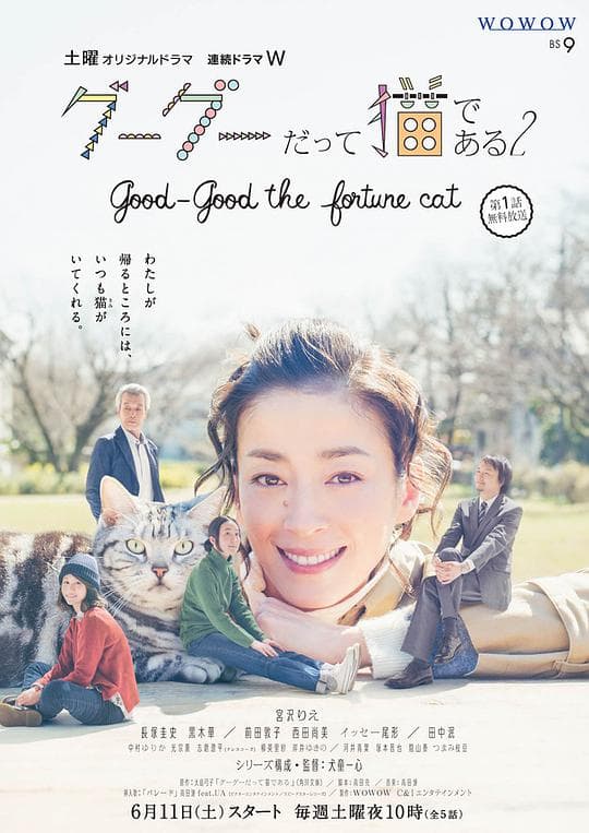 咕咕是一只猫2海报